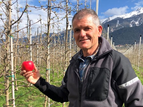 Agricultura en armonía con la naturaleza gracias a las variedades resistentes a la sarna del manzano
