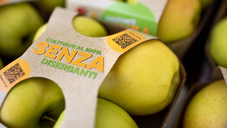 Ökologische Alternativen zu Plastik