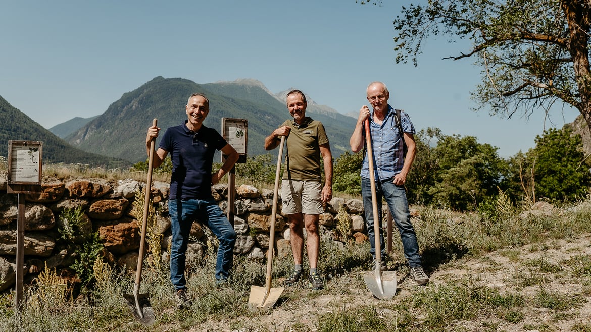 Il pascolo per le api sul Monte Sole di Laces