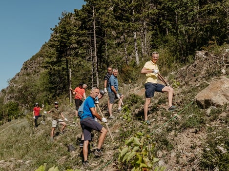 Il pascolo per le api sul Monte Sole di Laces