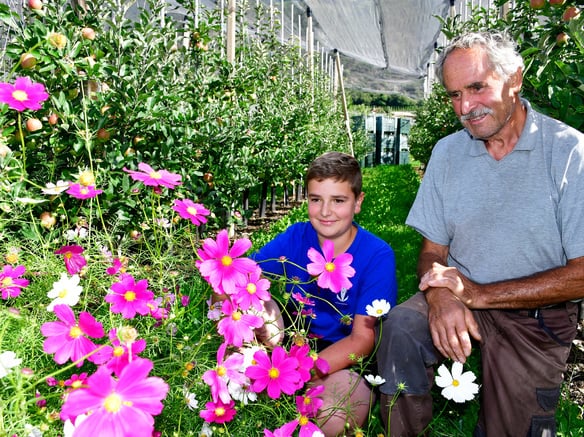 My flowers for grandpa's apple orchard