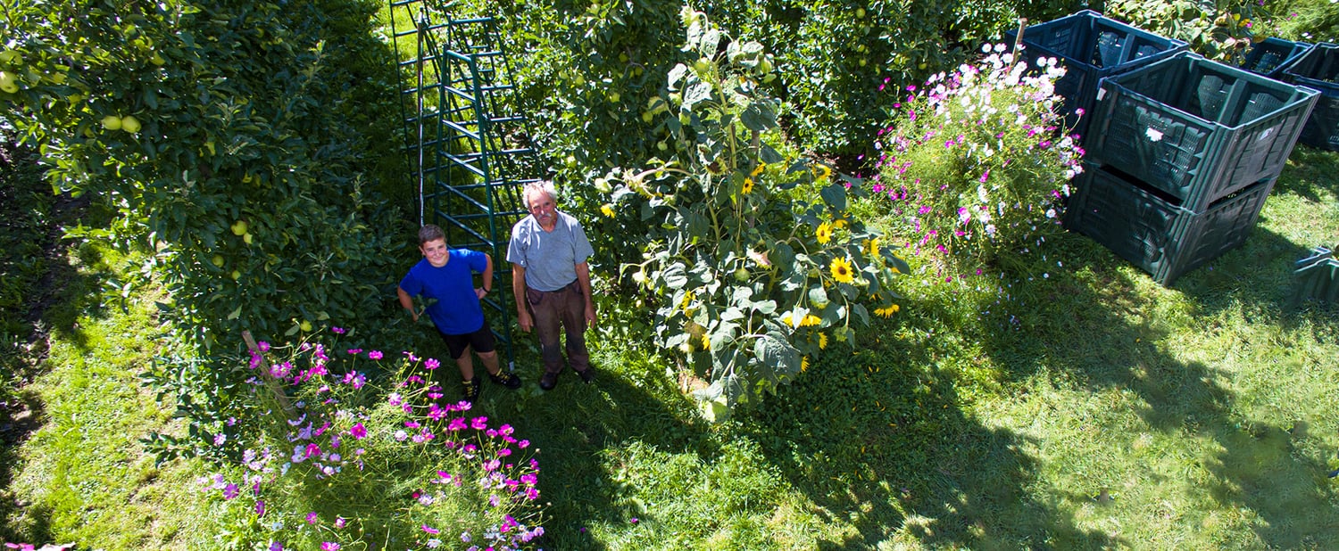 Mis flores para el huerto de manzanas del abuelo
