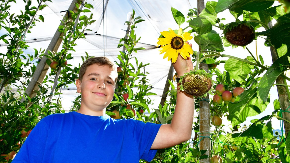 Meine Blumen für Opas Apfelwiese