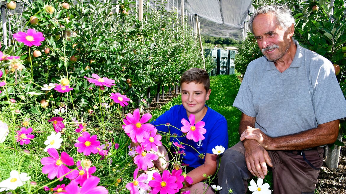 Mis flores para el huerto de manzanas del abuelo