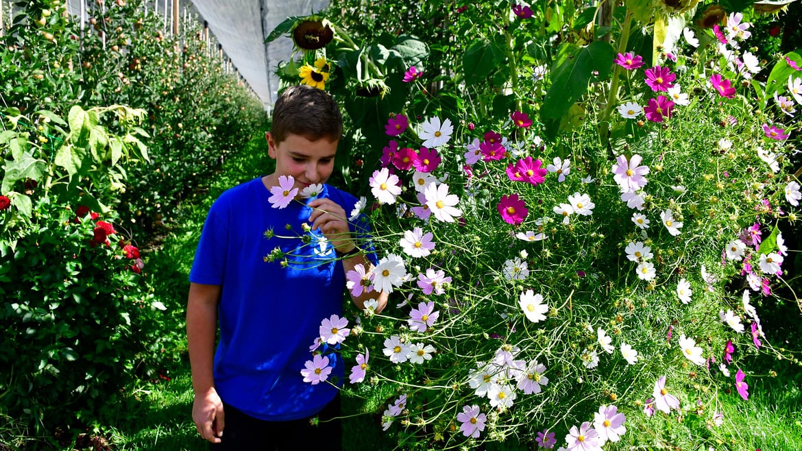 I miei fiori per il meleto del nonno