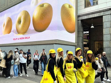 „The color of taste“ ist zurück