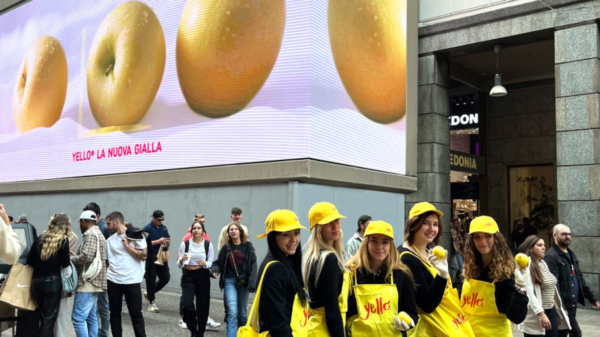„The color of taste“ ist zurück