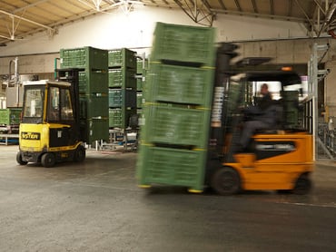 Mitarbeiter(in) für die Abteilung Produktion (Vollzeit) als Staplerfahrer