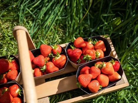 Fragole di montagna e frutti di bosco by VIP