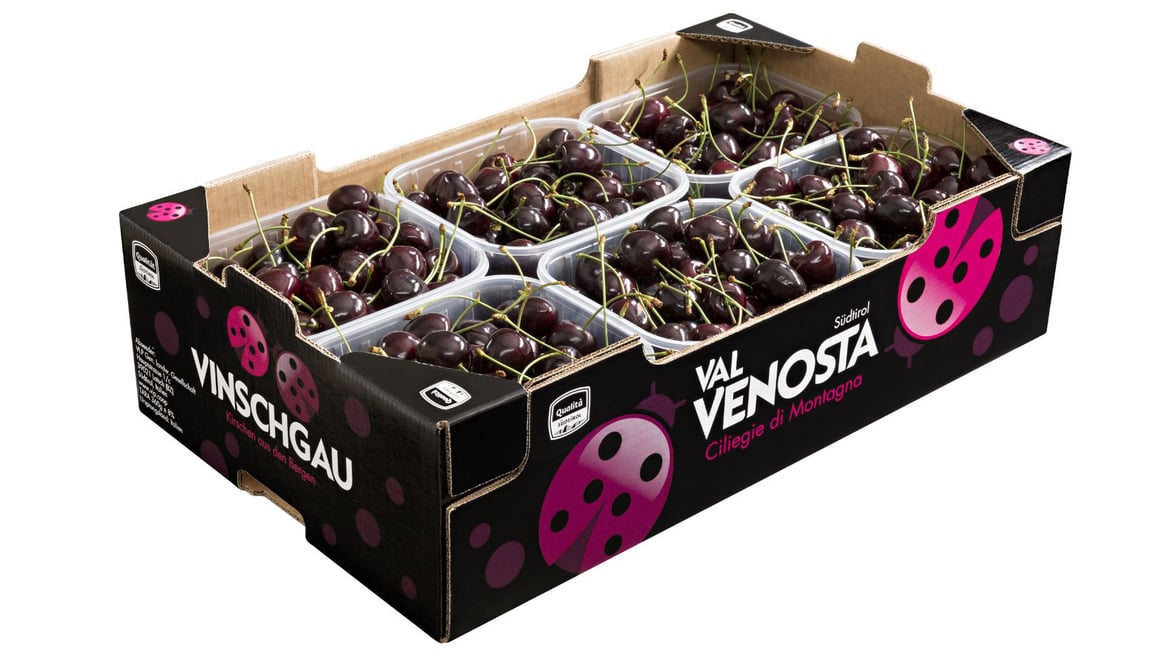 In arrivo le ciliegie VIP Val Venosta