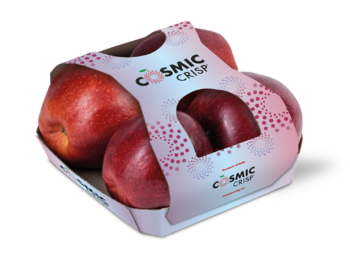 Cardboard fruittainer with top
