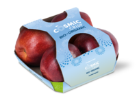 Cardboard fruittainer with top