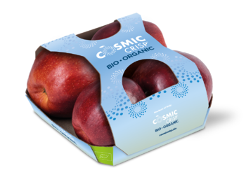 Cardboard fruittainer with top