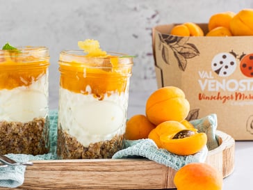 Tarta de queso con albaricoques “Vinschger Marille” – en vaso