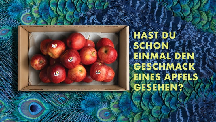 DER SEHSINN