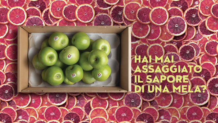 IL GUSTO