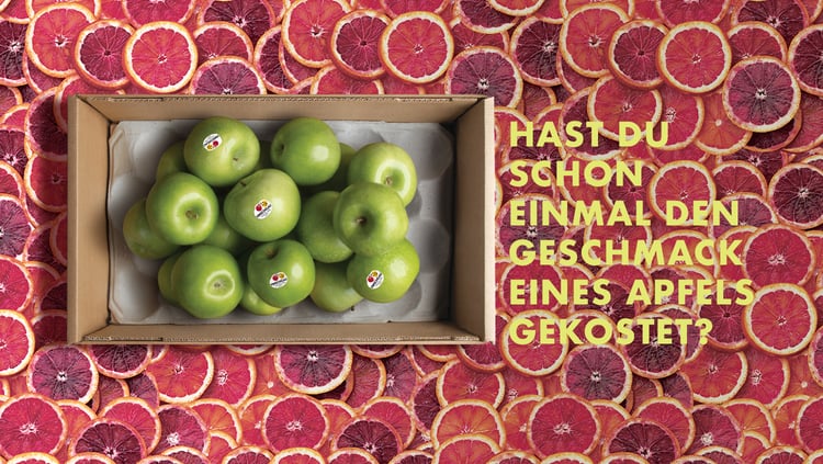 DER GESCHMACKSSINN