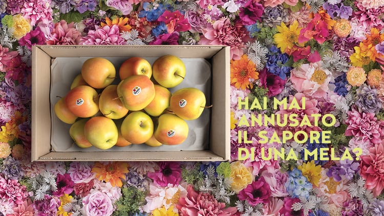 L’OLFATTO
