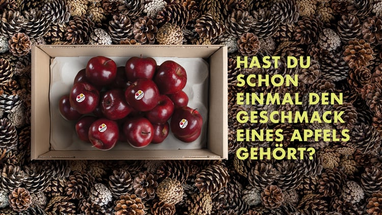 DER HÖRSINN