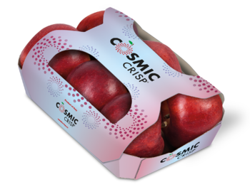 Cardboard fruittainer with top