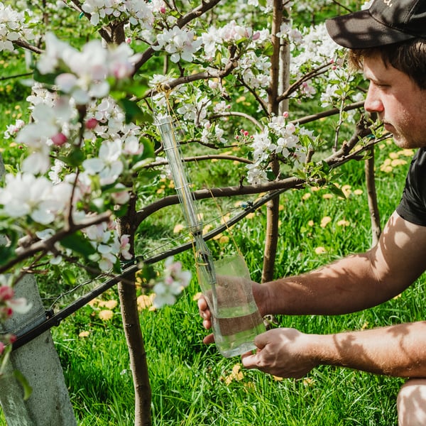Landwirtschaftliche Gesellschaft Schönegg GmbH