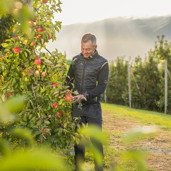 Spechtenhauser Stefan