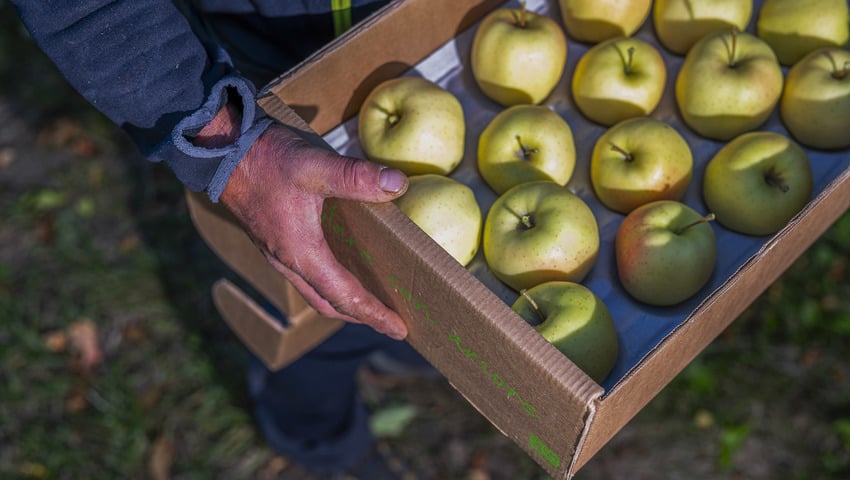 Spechtenhauser Josef