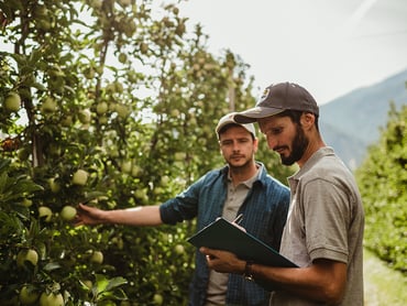 Impiegato/a reparto qualità (m/f/d)