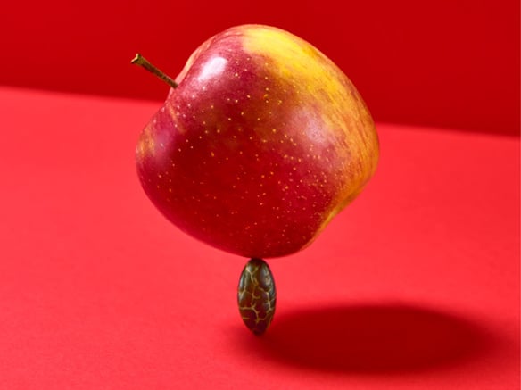 Lanciato il progetto APPLEPAIRING di VIP
