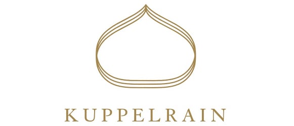 Strudel di mele di pasta frolla con spuma alla vaniglia