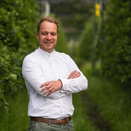 Wallnöfer Werner