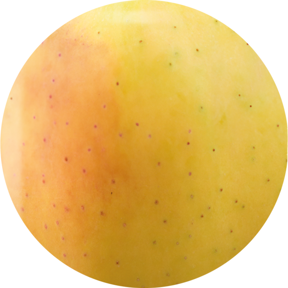 Golden Delicious Val Venosta