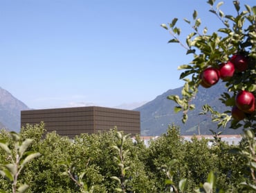 Assistenza qualità e soci (m/f/d)