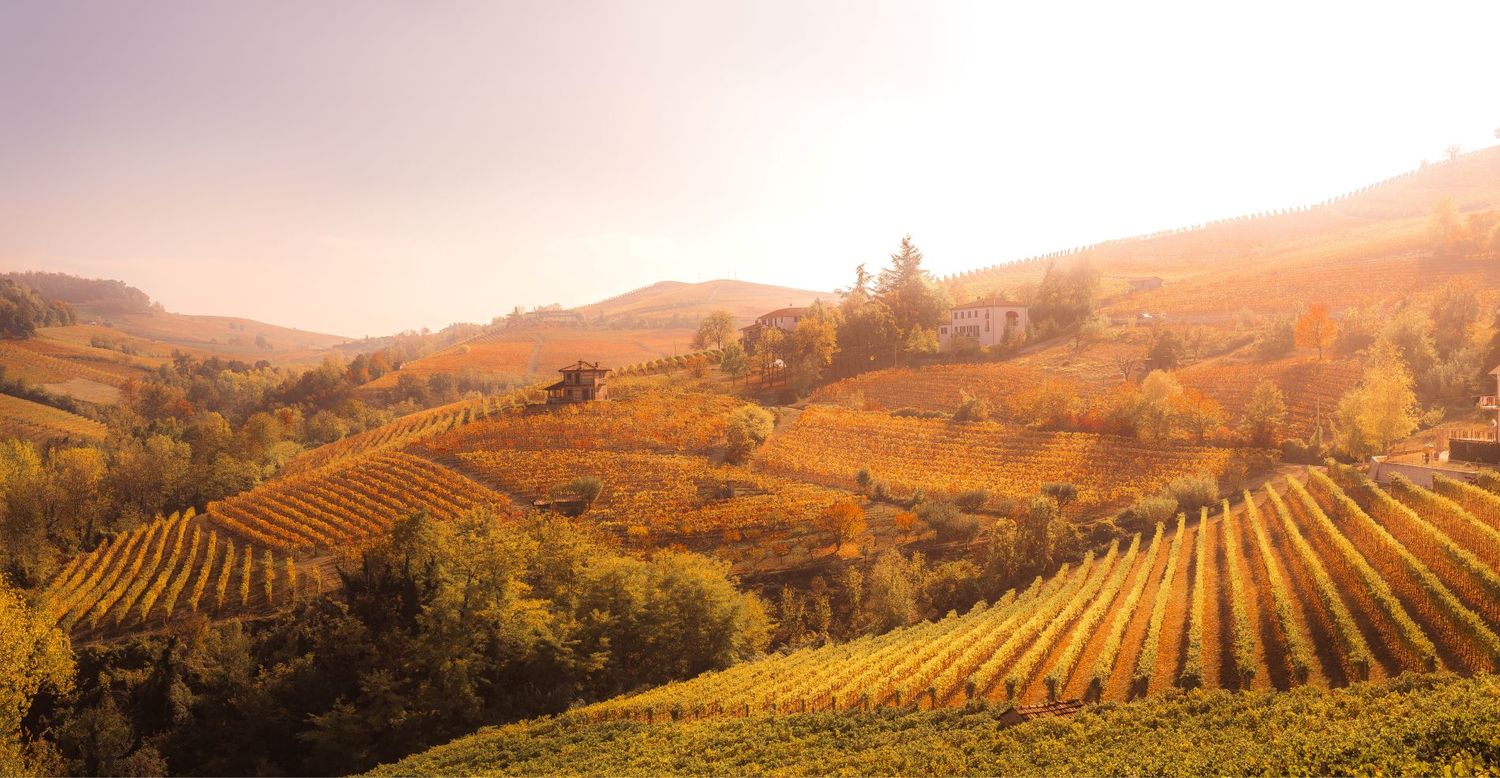 <br> <br> Viaggio tra i Sapori d'Italia: <br> Il Piemonte