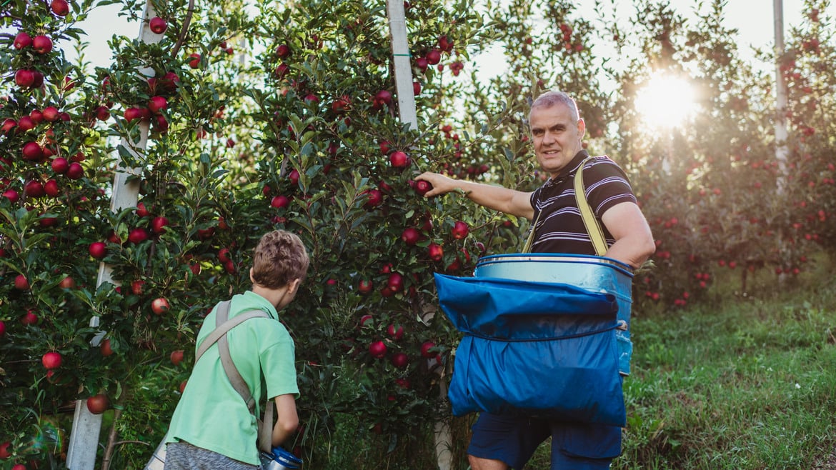 VIP: una frutticoltura sostenibile per garantire rispetto della natura ma anche redditività