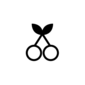 Ciliegie