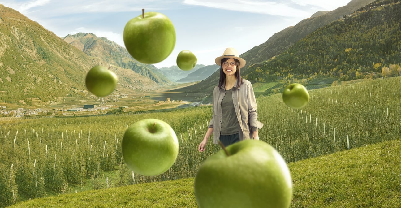 The Apple Paradise