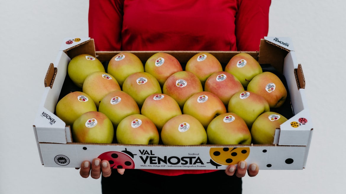 Fresh apples all year round thanks to technology and logistics: VIP’s successful season on display at Macfrut