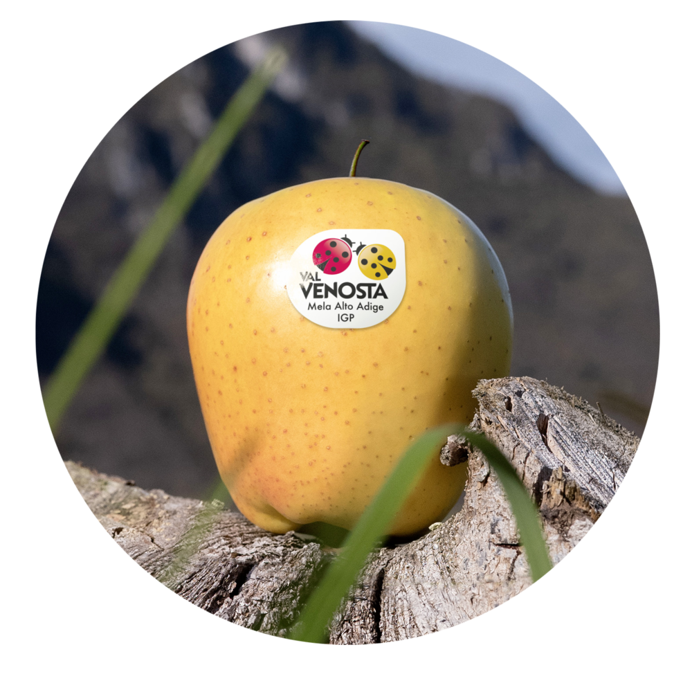 Eine genusssvolle Reise durch Italien