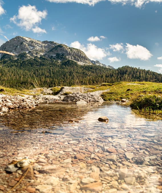 Dove la tradizione incontra l'autenticità