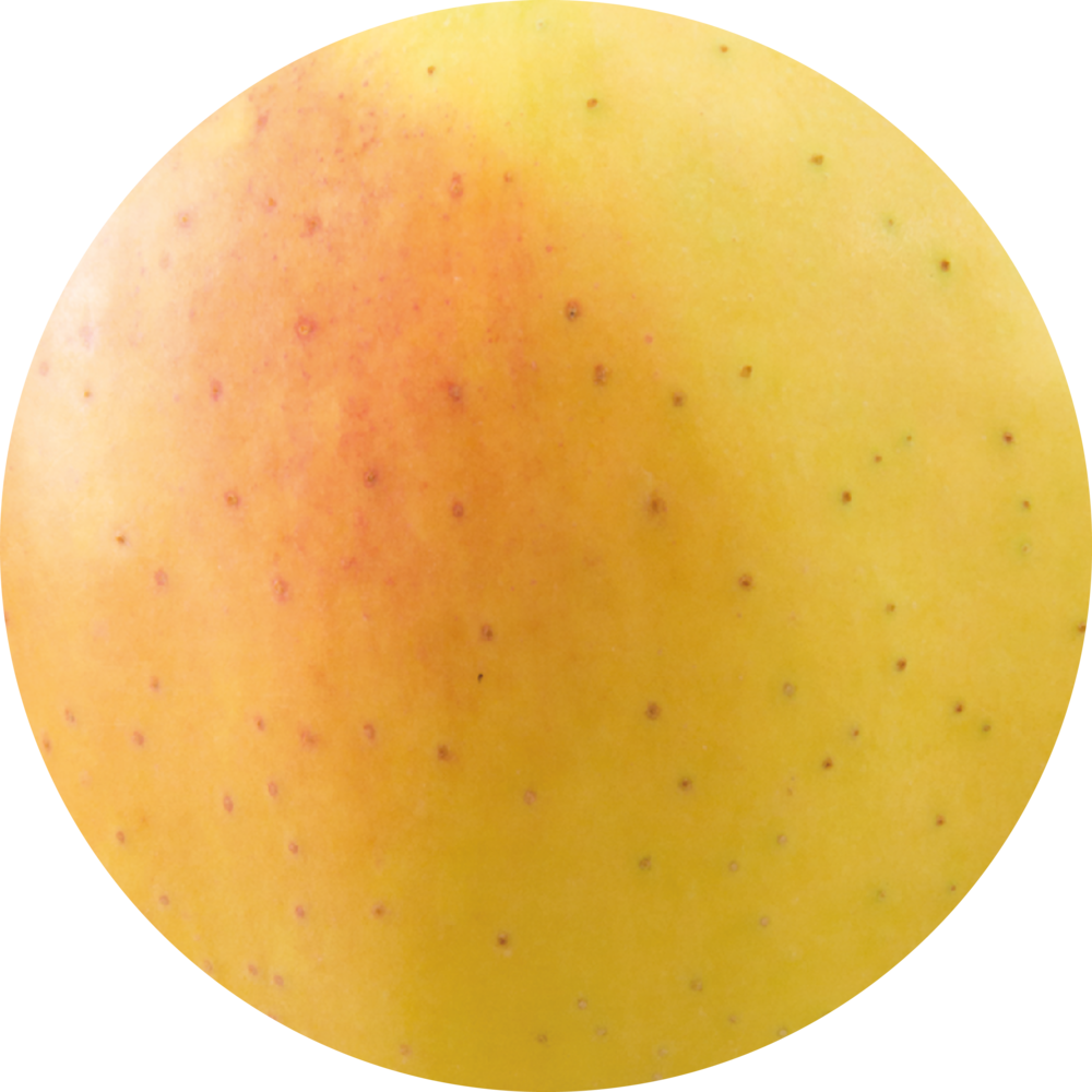 Golden Delicious Vinschgau