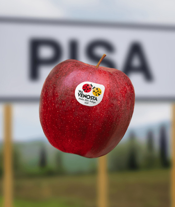 Dove la semplicità diventa gusto