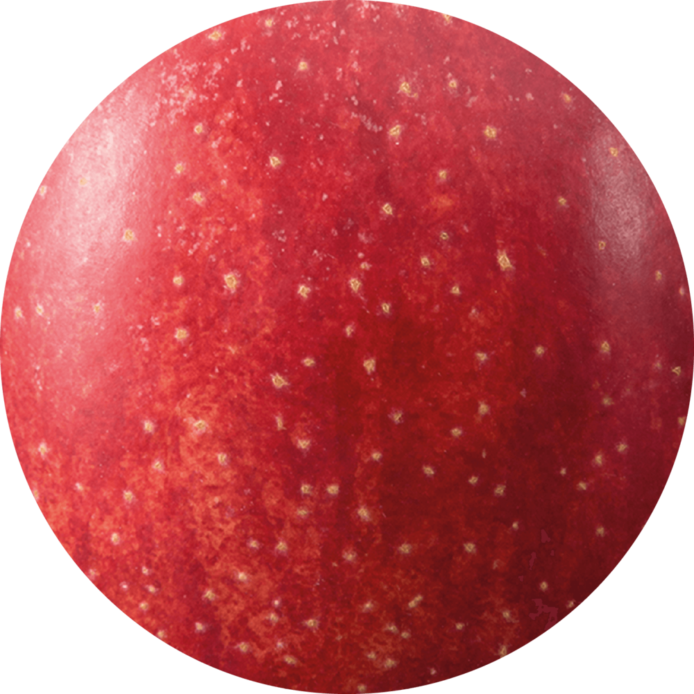 Gala Royal Vinschgau