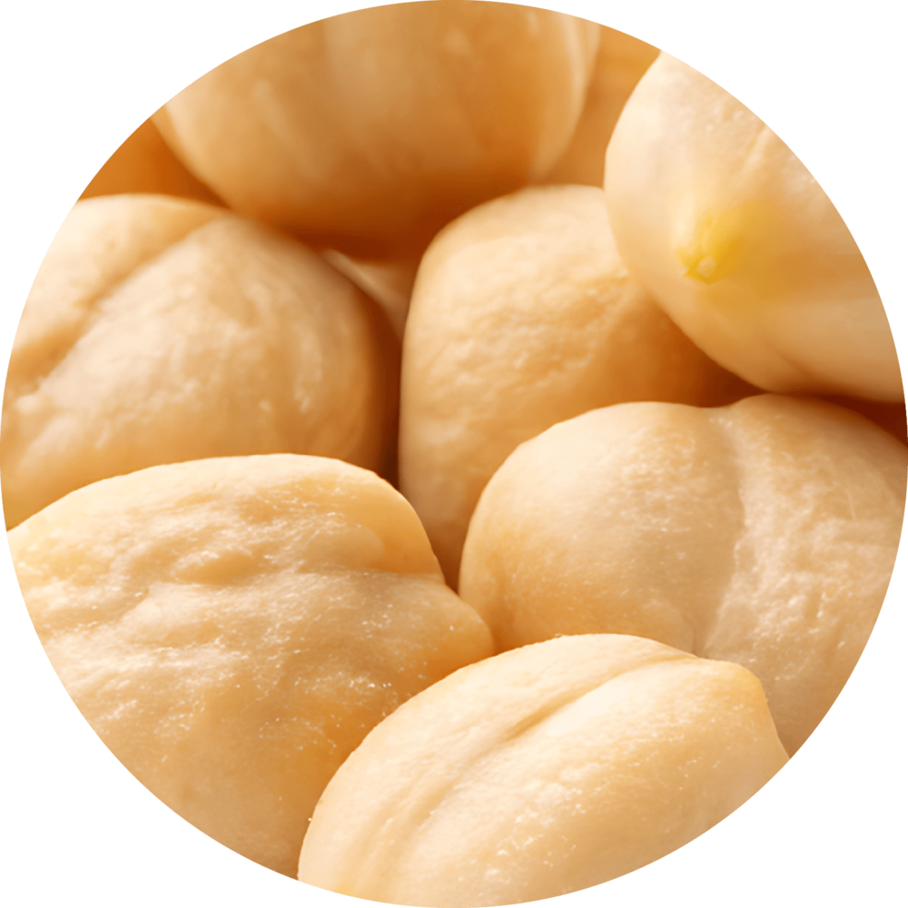 Toskanische Kichererbsen