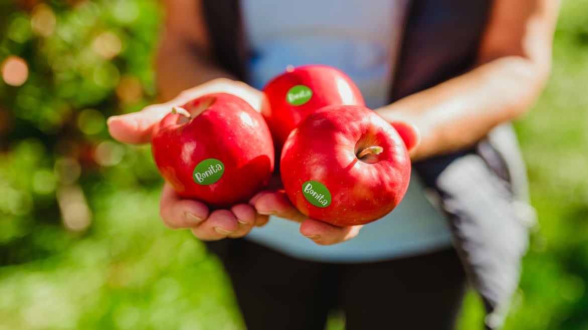 VIP bestätigt Führungsposition als Bio-Apfelproduzent in Europa
