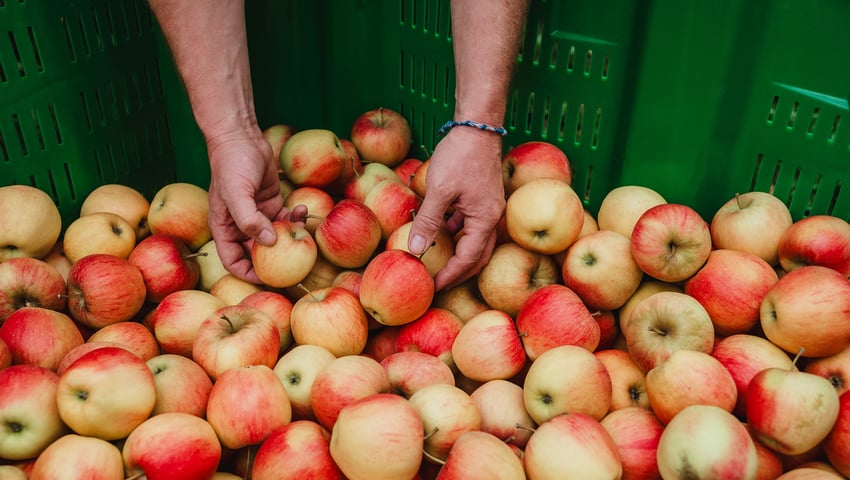 Tappeiner Michael Walter