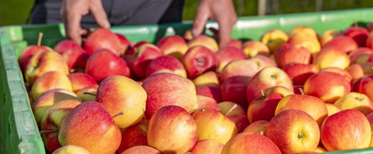 Spechtenhauser Stefan