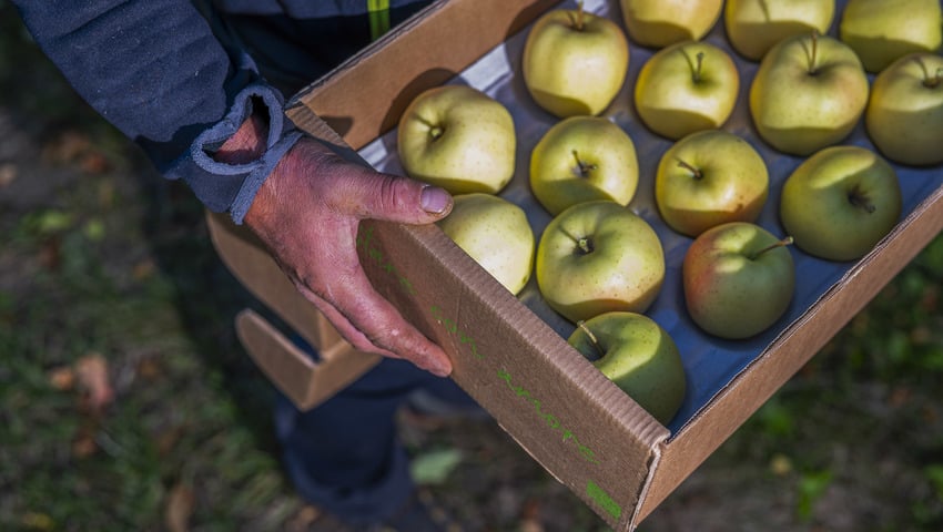 Spechtenhauser Stefan
