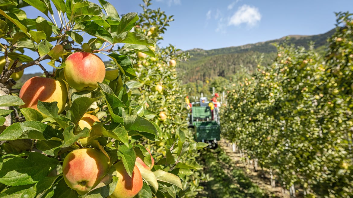 Zwischen Bilanz, Herausforderungen und Chancen bestätigt sich Qualität als strategische Säule für das neue Jahr