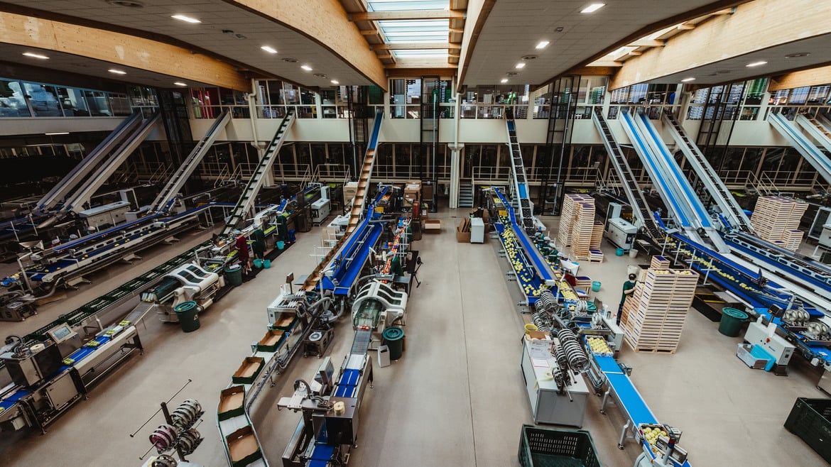 VIP: essere il first class Apple Partner Europeo